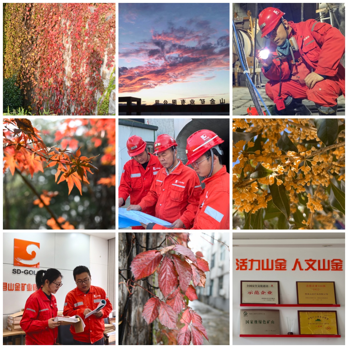 用“Color Walk”的方式,打开嵩县山金公司(配图).jpg