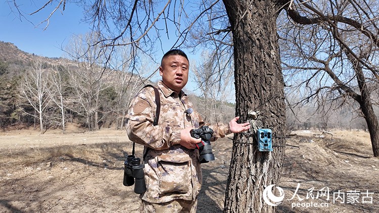 马海波通过红外相机24小时监测麋鹿种群动态。人民网记者 张力洋摄