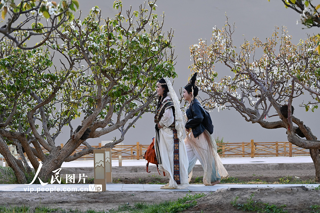 甘肃敦煌：春到大漠