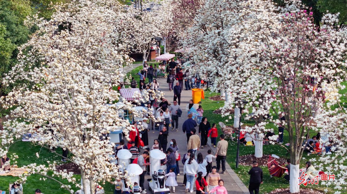 踏青赏花 乐享春光