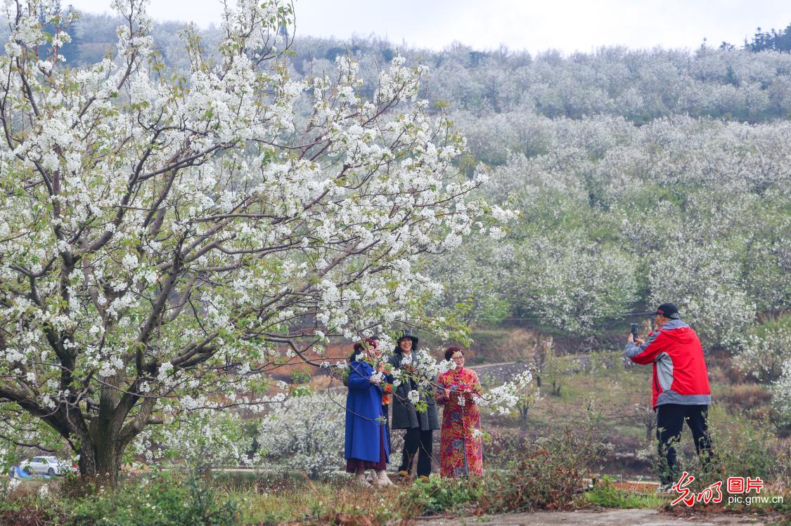 踏青赏花 乐享春光