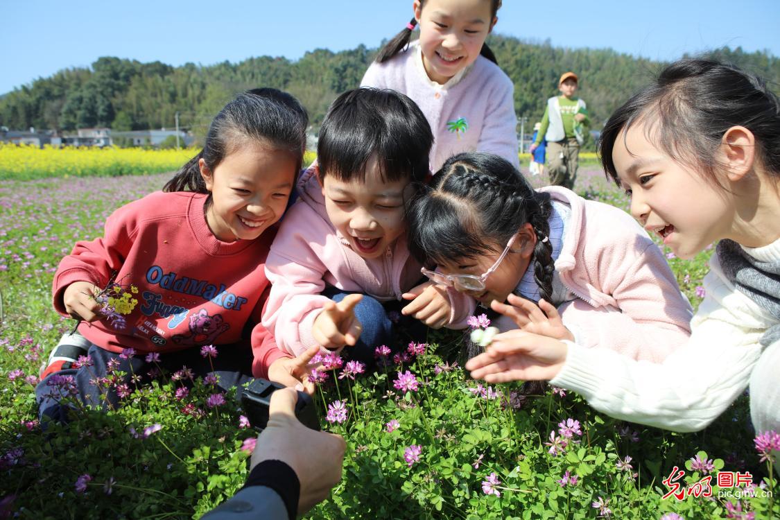 踏青赏花 乐享春光