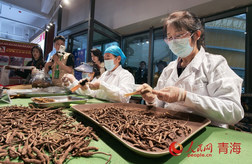 工人在刷鲜草。人民网记者 甘海琼摄