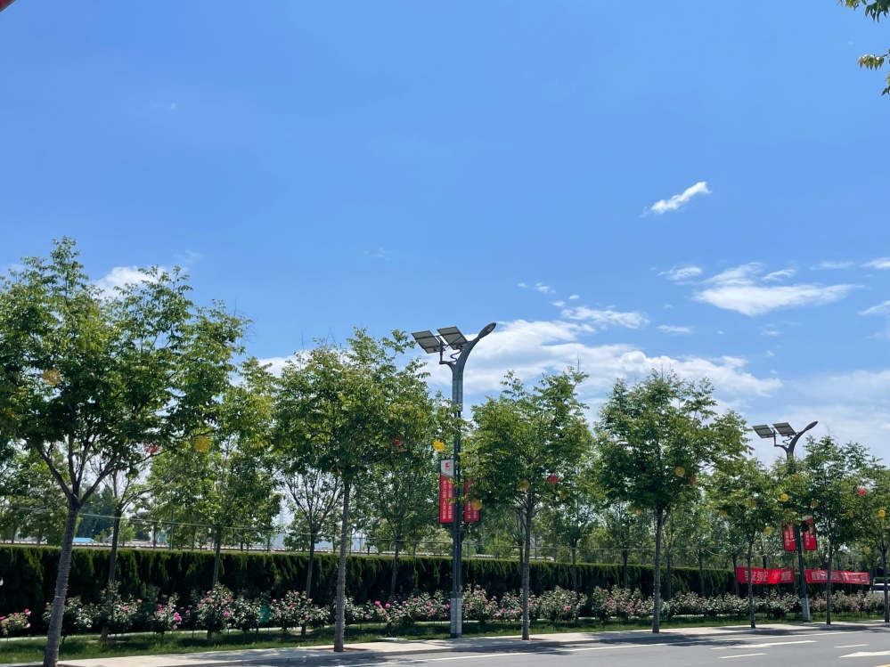 微信图片_20260813155640_328_20_副本.jpg