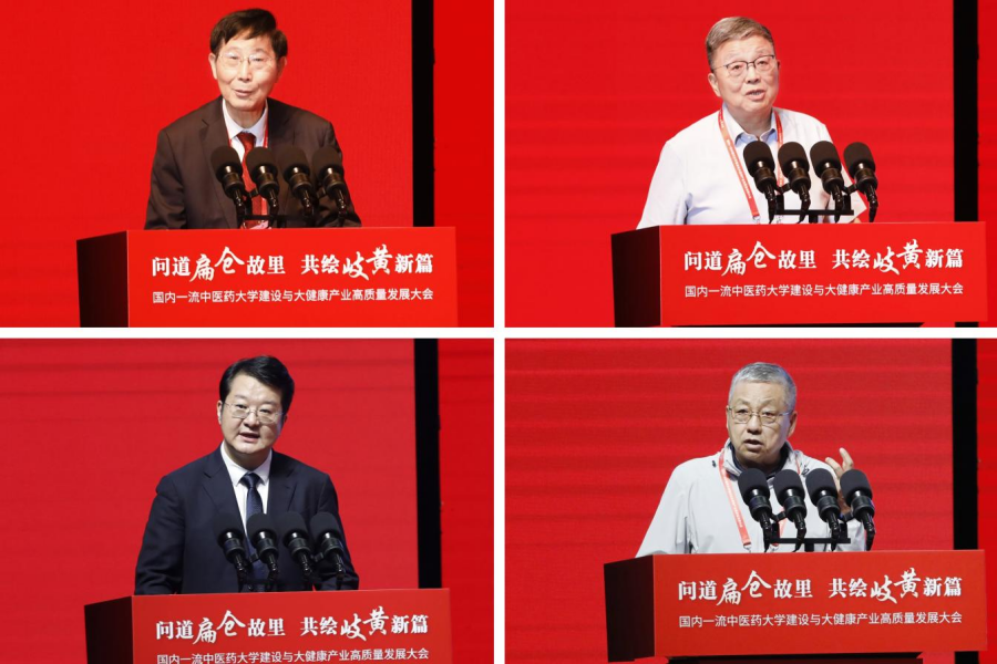 图片13_副本.png