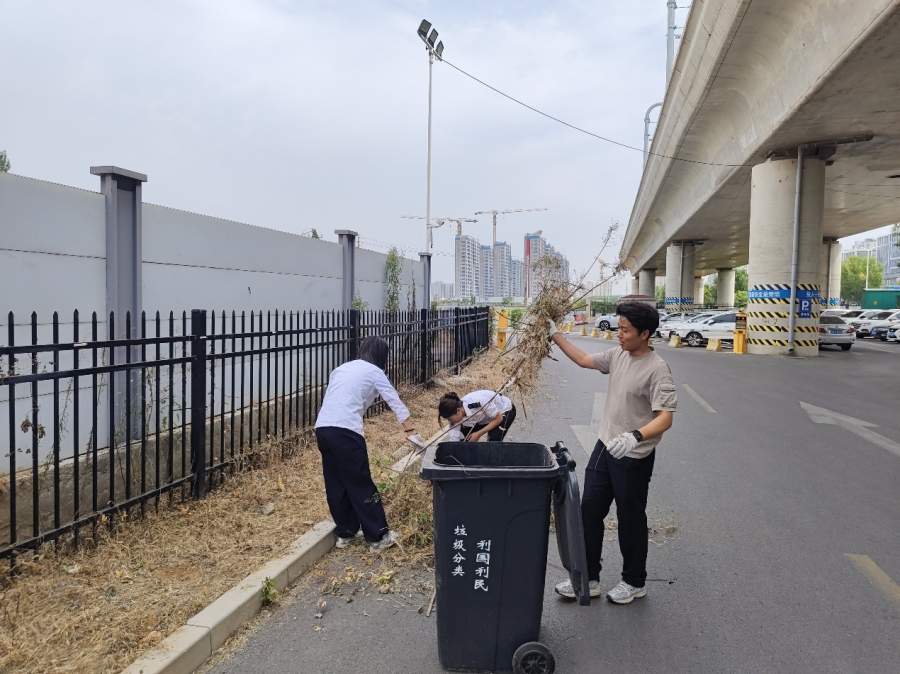 图片2_副本.png